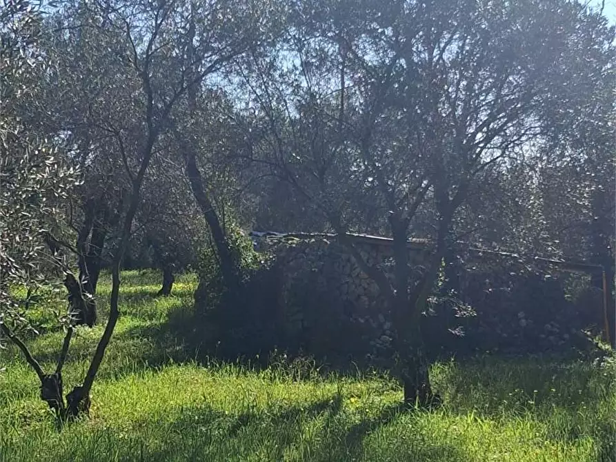Immagine 1 di Terreno agricolo in vendita  a Formia