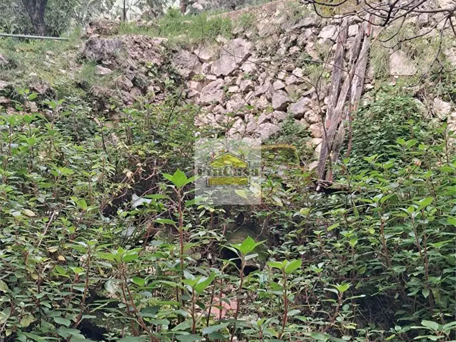 Immagine 21 di Stabile in vendita  a Formia