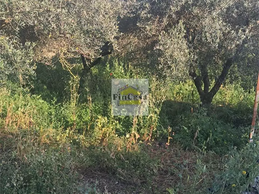 Immagine 2 di Rustico / casale in vendita  a Formia