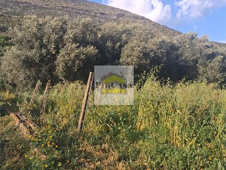 Immagine 3 di Rustico / casale in vendita  a Formia