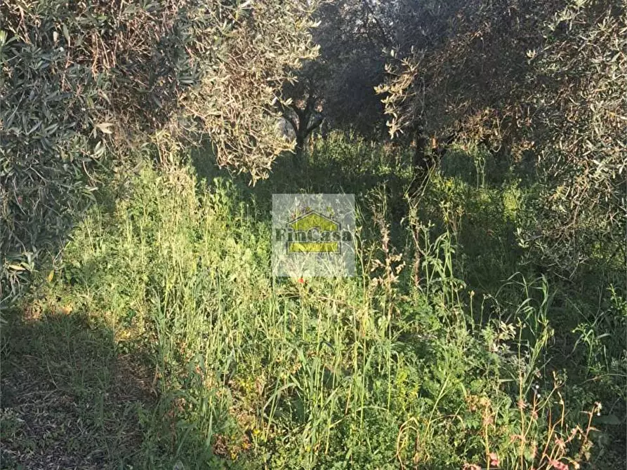 Immagine 4 di Rustico / casale in vendita  a Formia
