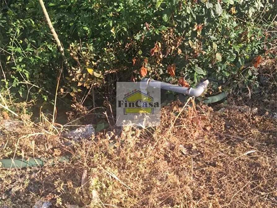 Immagine 9 di Rustico / casale in vendita  a Formia