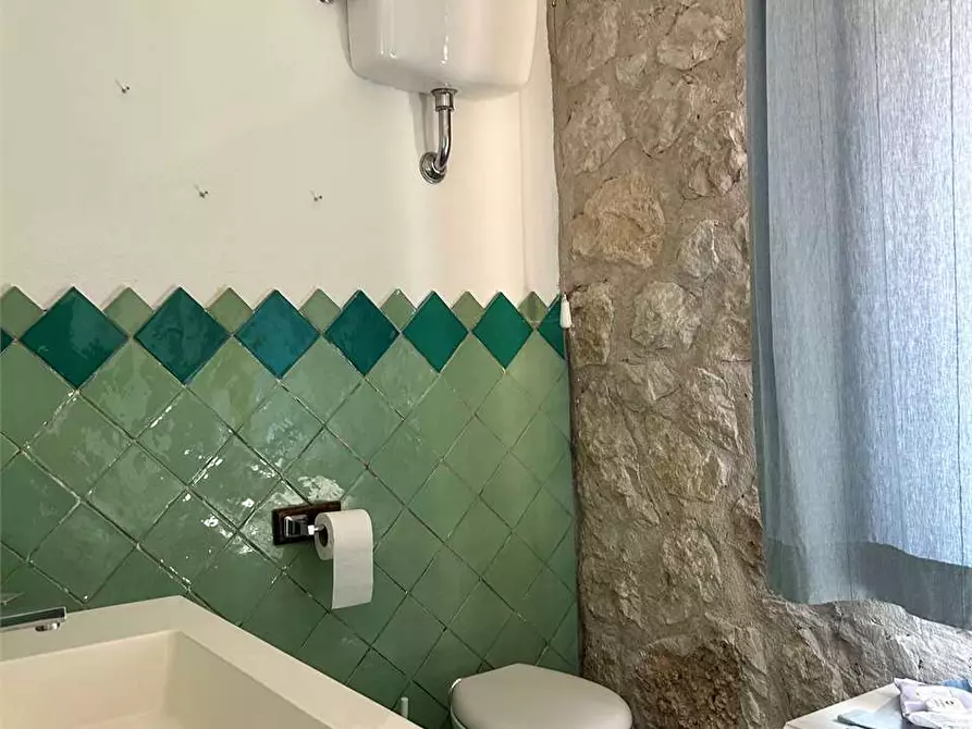 Immagine 16 di Villa in affitto  a Formia