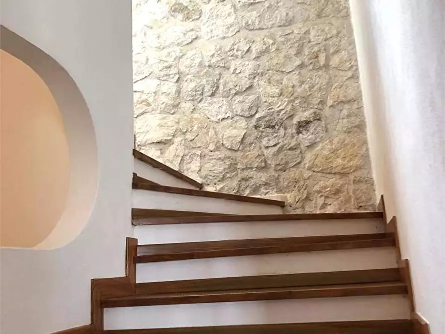 Immagine 19 di Villa in affitto  a Formia