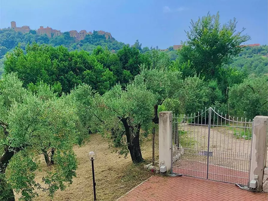 Immagine 41 di Villa in affitto  a Formia