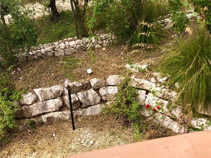 Immagine 42 di Villa in affitto  a Formia