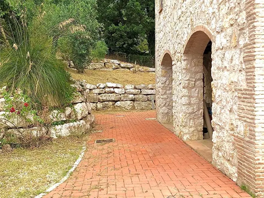 Immagine 46 di Villa in affitto  a Formia