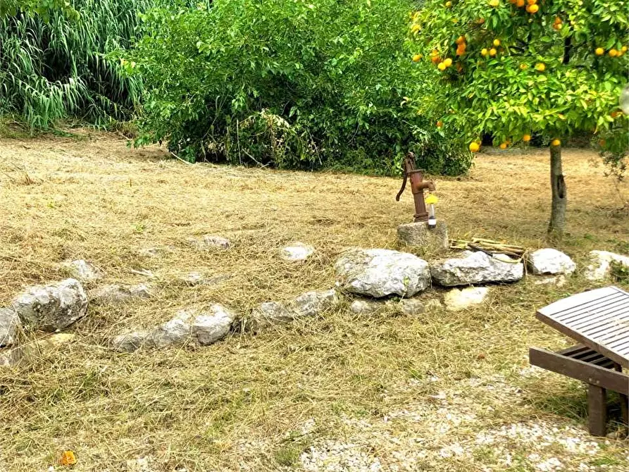 Immagine 47 di Villa in affitto  a Formia