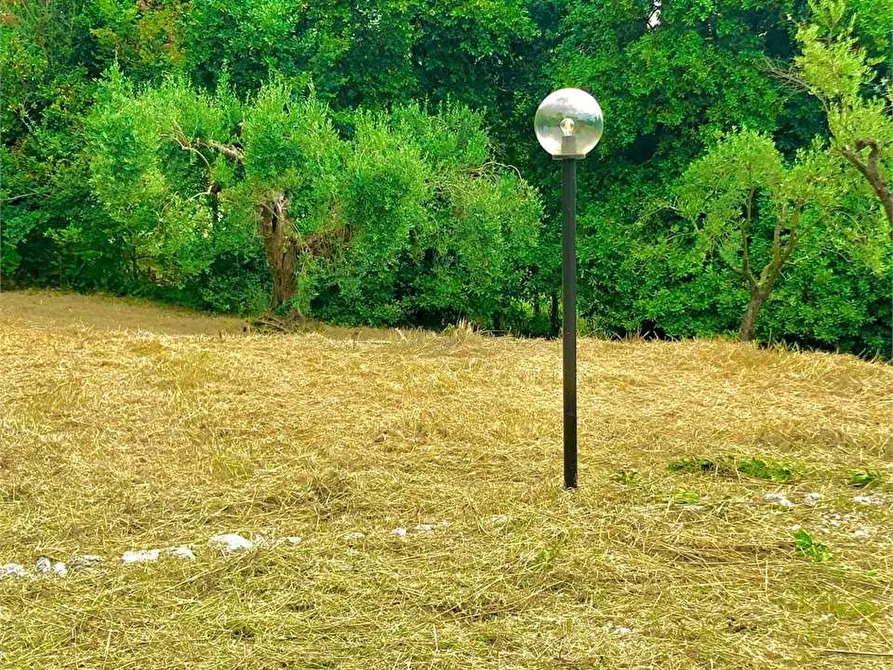 Immagine 48 di Villa in affitto  a Formia
