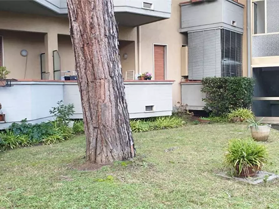 Immagine 24 di Appartamento in vendita  in Via  Pandolfino a Massa