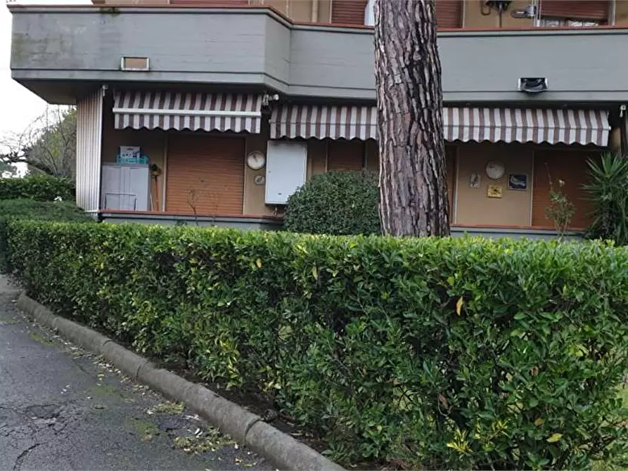 Immagine 25 di Appartamento in vendita  in Via  Pandolfino a Massa