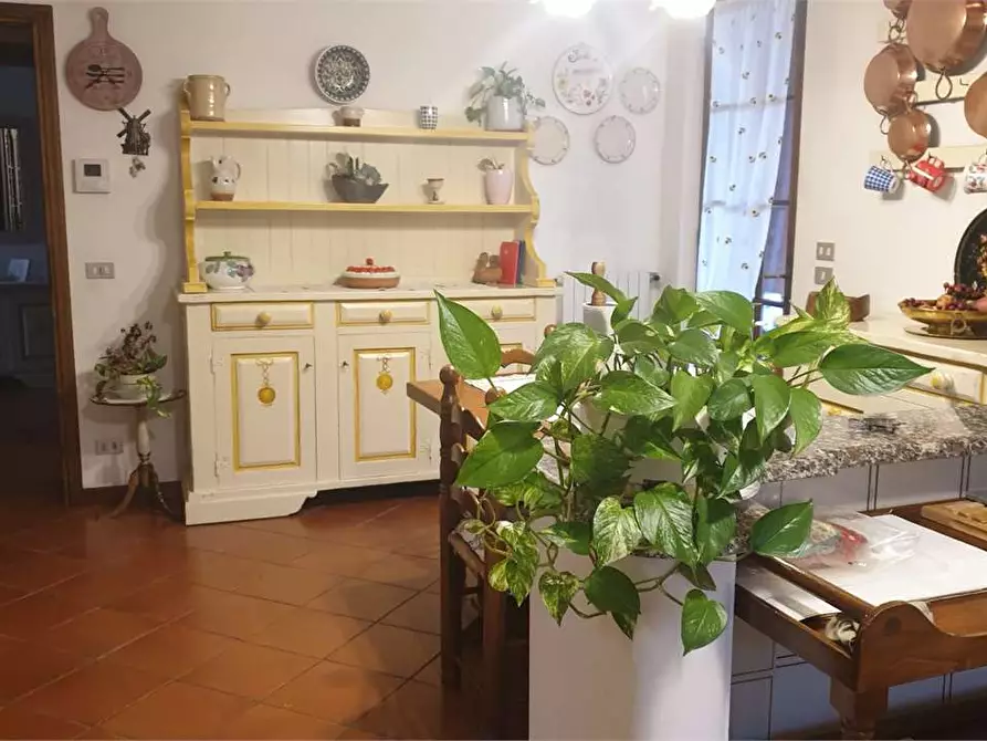 Immagine 21 di Villa in affitto  in Via Colombo a Forte Dei Marmi