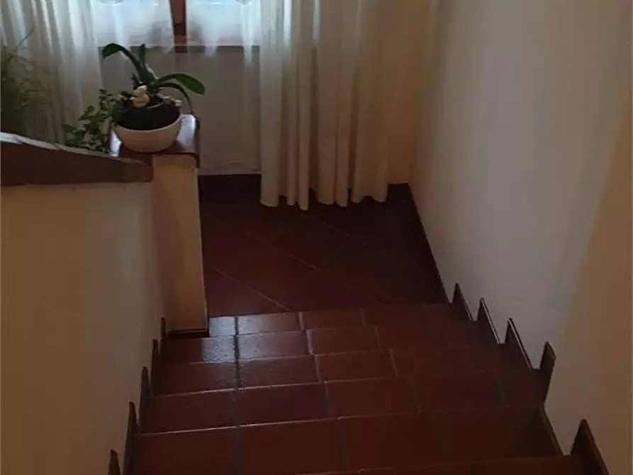 Immagine 31 di Villa in affitto  in Via Colombo a Forte Dei Marmi