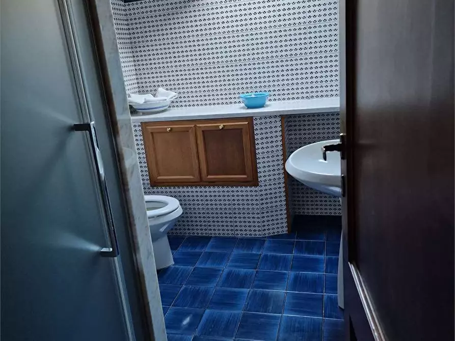 Immagine 21 di Villa in affitto  in Via Firenze a Forte Dei Marmi