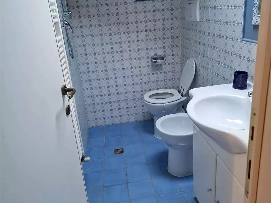 Immagine 26 di Villa in affitto  in Via Firenze a Forte Dei Marmi