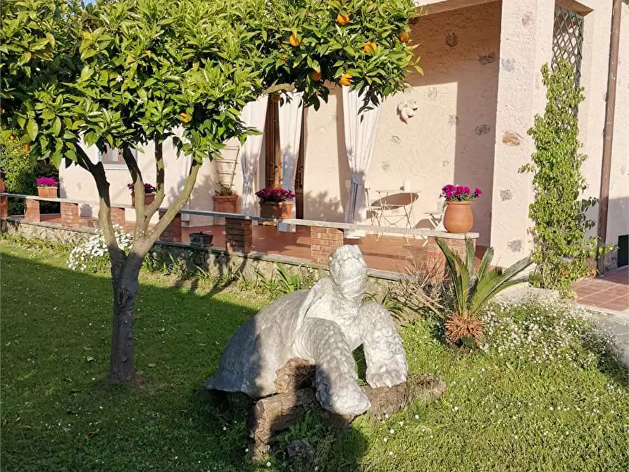 casa indipendente in affitto a Forte dei Marmi in zona Vittoria Apuana