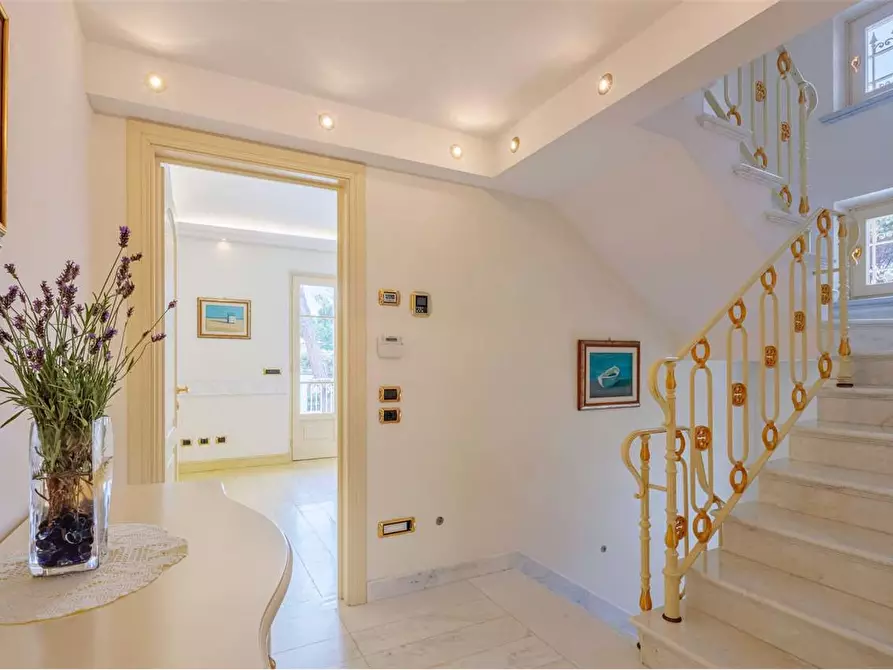 Immagine 23 di Villa in affitto  in Via Ariosto a Forte Dei Marmi
