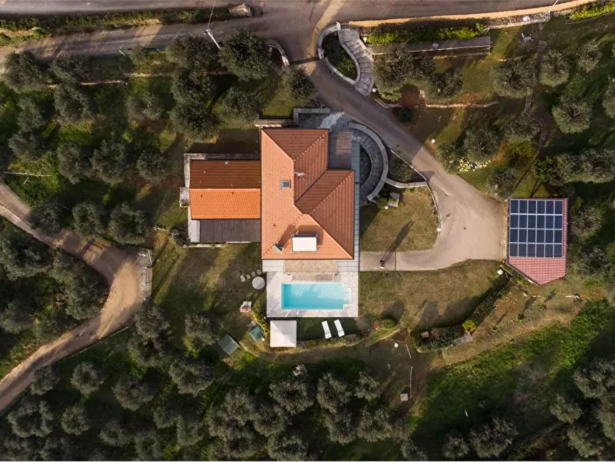 Immagine 15 di Villa in affitto  in Via Casone a Pietrasanta