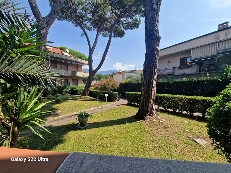 Immagine 23 di Appartamento in vendita  in Via  Pandolfino a Massa