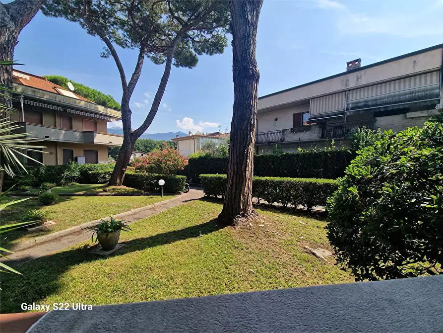 Immagine 5 di Appartamento in vendita  in Via  Pandolfino a Massa