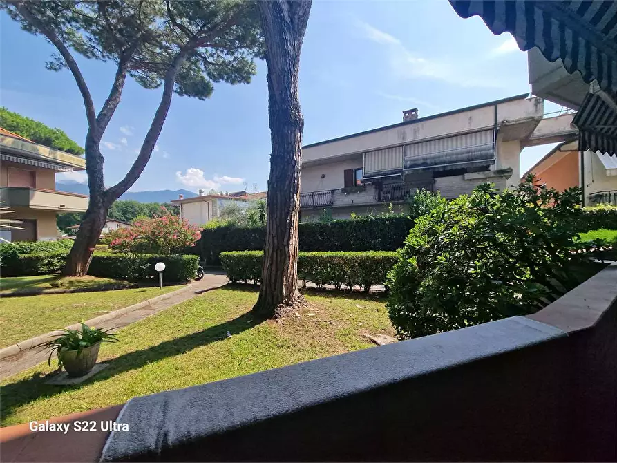 Immagine 4 di Appartamento in vendita  in Via  Pandolfino a Massa