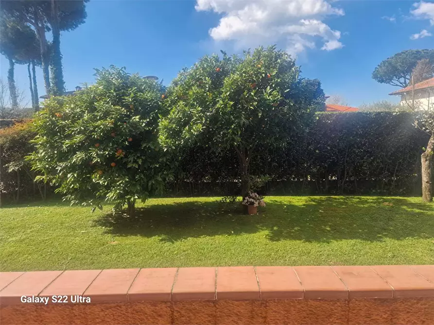 Immagine 54 di Villa in affitto  in Via Gorizia a Forte Dei Marmi