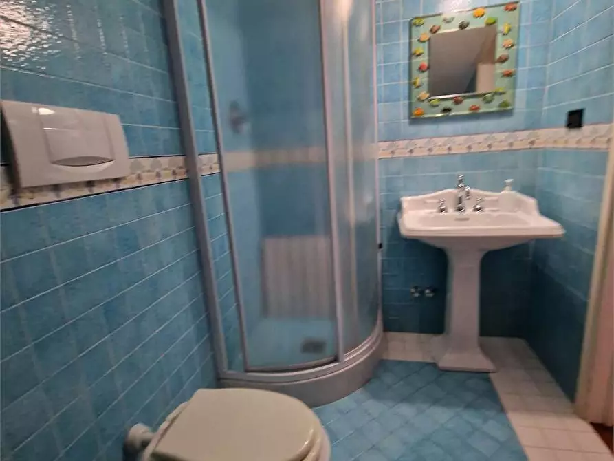 Immagine 84 di Villa in affitto  in Via Francesco Carrara a Forte Dei Marmi