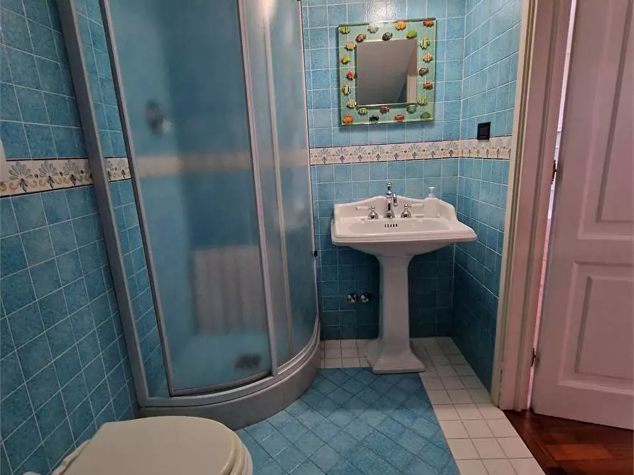 Immagine 86 di Villa in affitto  in Via Francesco Carrara a Forte Dei Marmi