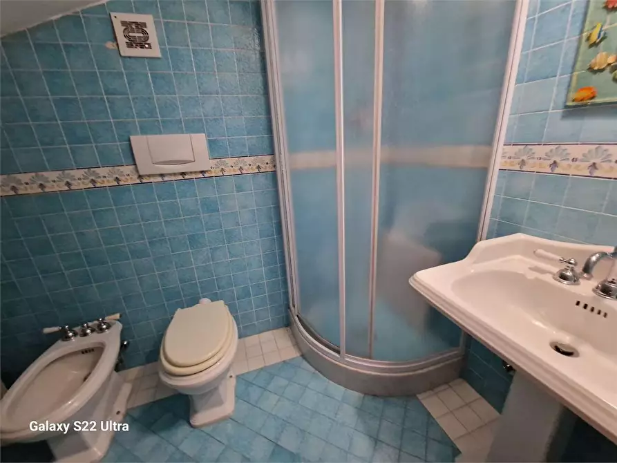 Immagine 90 di Villa in affitto  in Via Francesco Carrara a Forte Dei Marmi