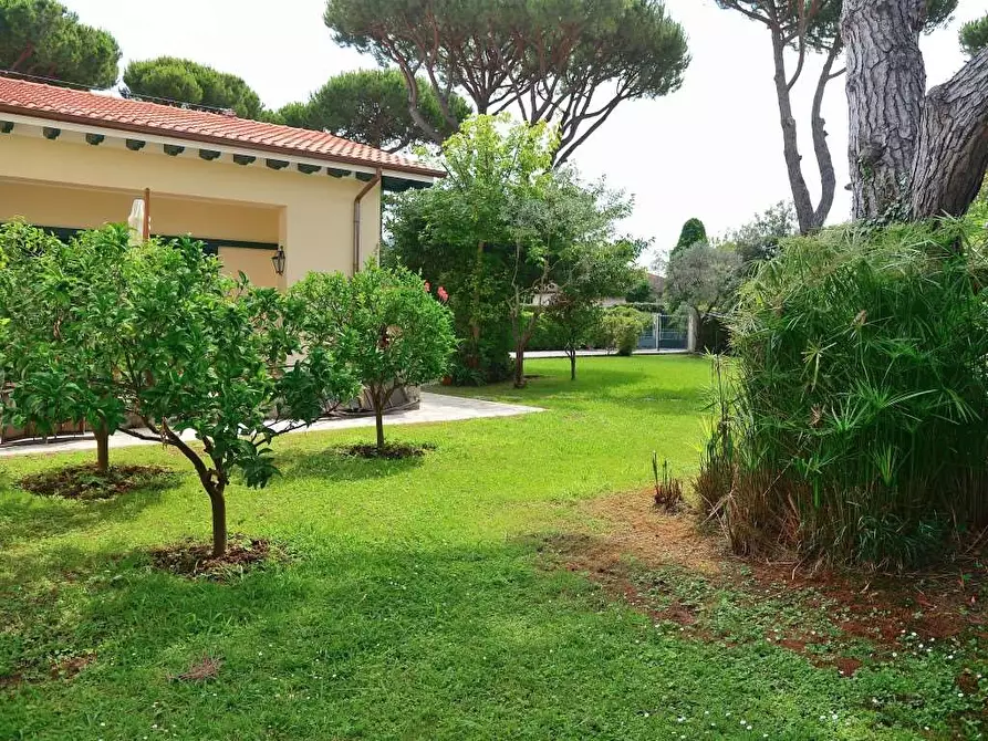 Immagine 23 di Villa in affitto  in Via Piave a Forte Dei Marmi