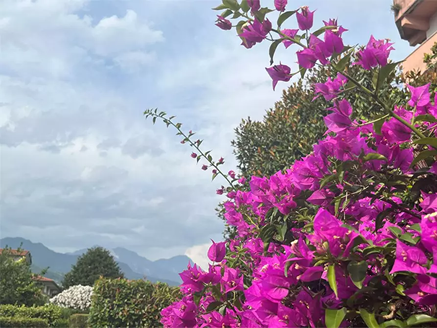 Immagine 3 di Appartamento in affitto  in Via Piave a Seravezza