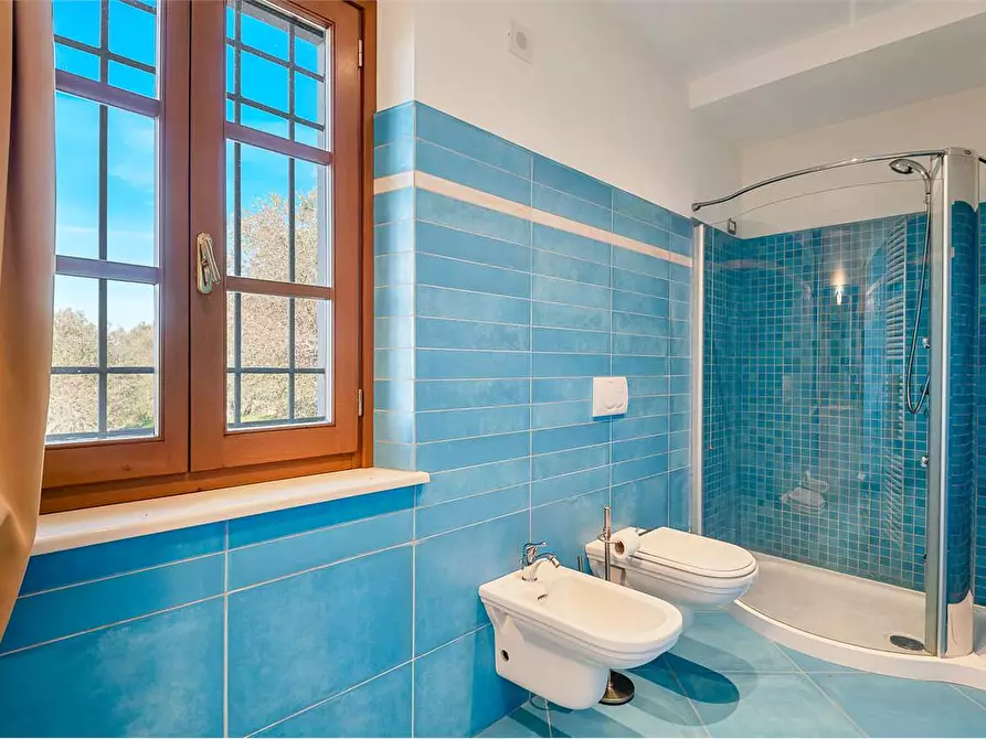 Immagine 37 di Villa in affitto  in Via Casone a Pietrasanta