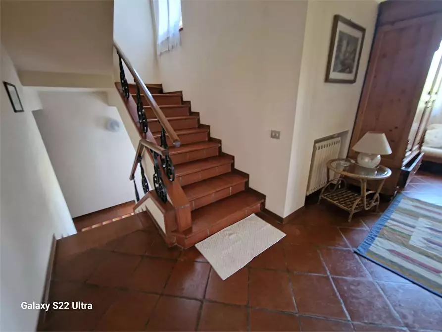 Immagine 26 di Casa bifamiliare in affitto  in Via L.Raffaelli a Forte Dei Marmi