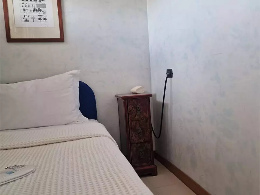 Immagine 20 di Casa bifamiliare in affitto  in Via Raffaele de Grada a Forte Dei Marmi