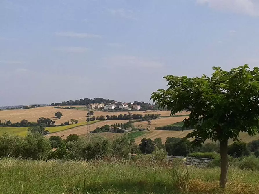 Immagine 1 di Quadrilocale in vendita  a Osimo