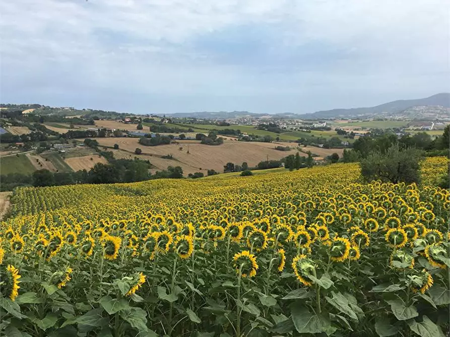 Immagine 8 di Terreno agricolo in vendita  in via Castagna a Osimo