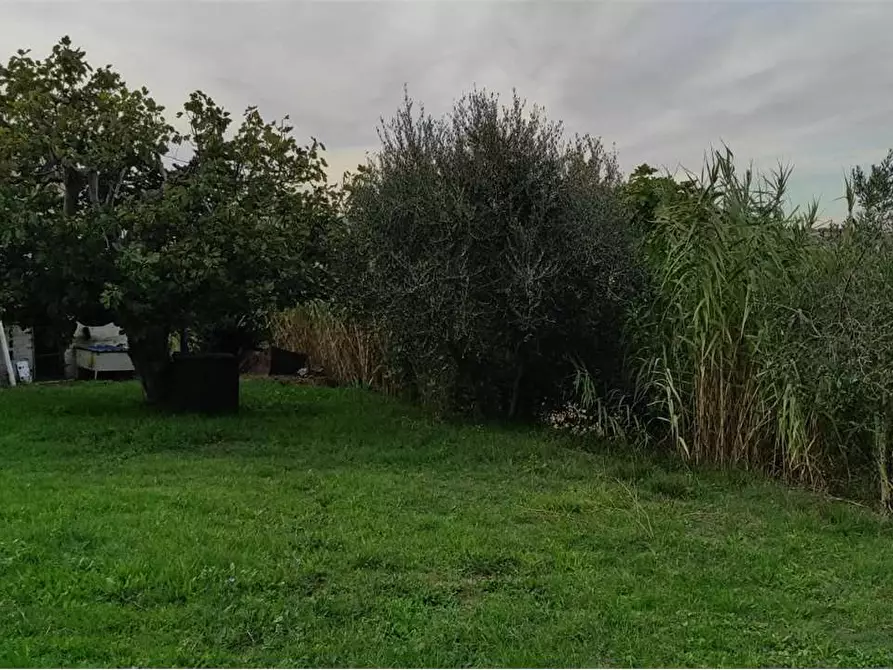 Immagine 2 di Rustico / casale in vendita  in VIA DEL MONTICELLO a Osimo