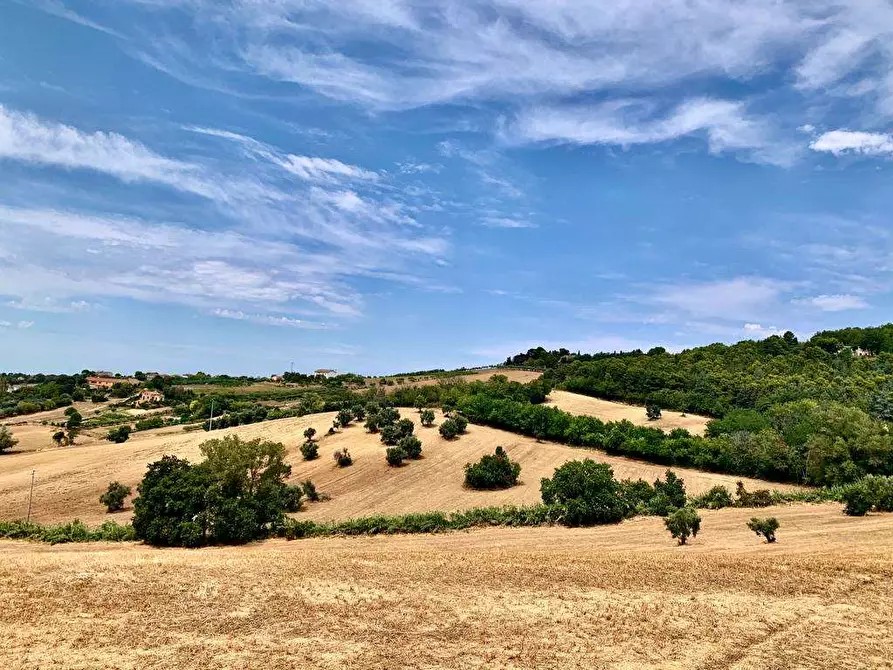 Immagine 5 di Rustico / casale in vendita  in STRADA DEL CASTELLANO a Ancona