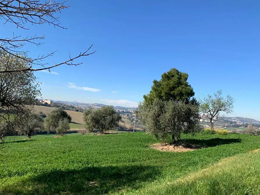 Immagine 6 di Rustico / casale in vendita  in STRADA DEL CASTELLANO a Ancona