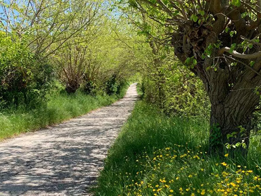 Immagine 7 di Rustico / casale in vendita  in STRADA DEL CASTELLANO a Ancona