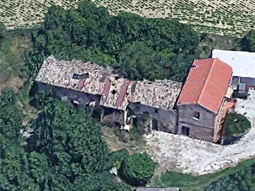 Immagine 1 di Terreno agricolo in vendita  a Ancona
