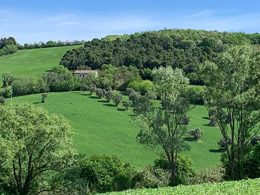 Immagine 2 di Rustico / casale in vendita  in STRADA DEL CASTELLANO a Ancona