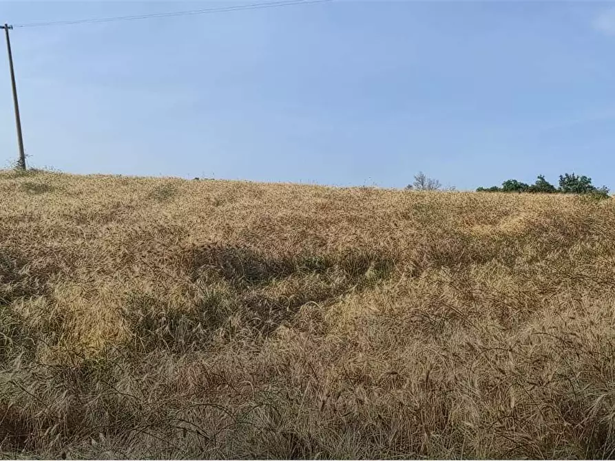 Immagine 3 di Rustico / casale in vendita  in via sardegna a Castelfidardo