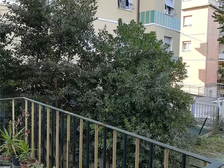 Immagine 4 di Stanza singola in affitto  a Ancona