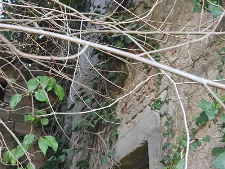 Immagine 5 di Rustico / casale in vendita  in campocavallo a Osimo