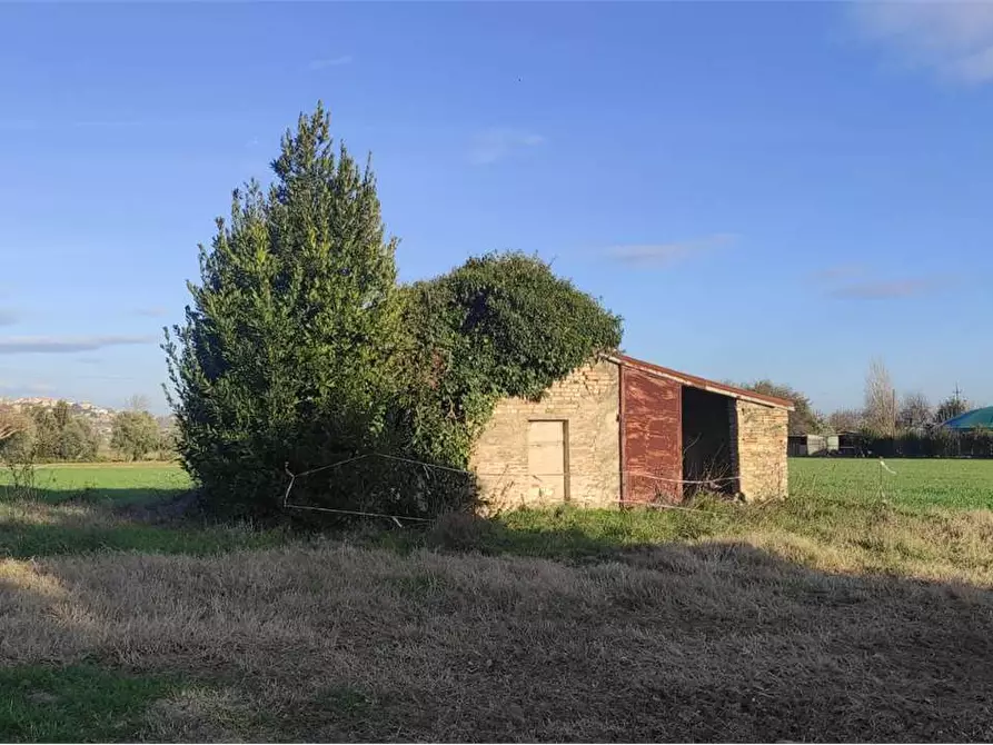 Immagine 8 di Rustico / casale in vendita  in campocavallo a Osimo