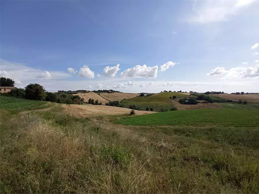 Immagine 3 di Rustico / casale in vendita  in VIA DI JESI SNC a Osimo