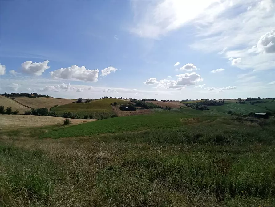 Immagine 4 di Rustico / casale in vendita  in VIA DI JESI SNC a Osimo