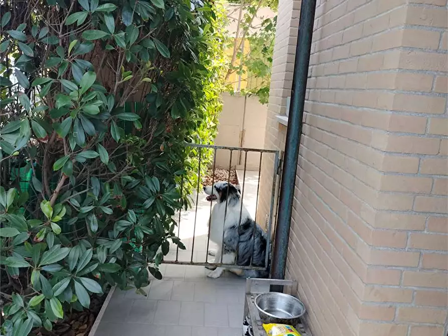 Immagine 36 di Appartamento in vendita  in VIA SARAGAT a Ancona