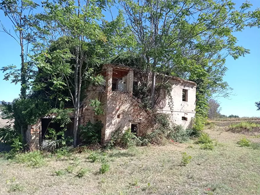 Immagine 1 di Rustico / casale in vendita  a Castelfidardo